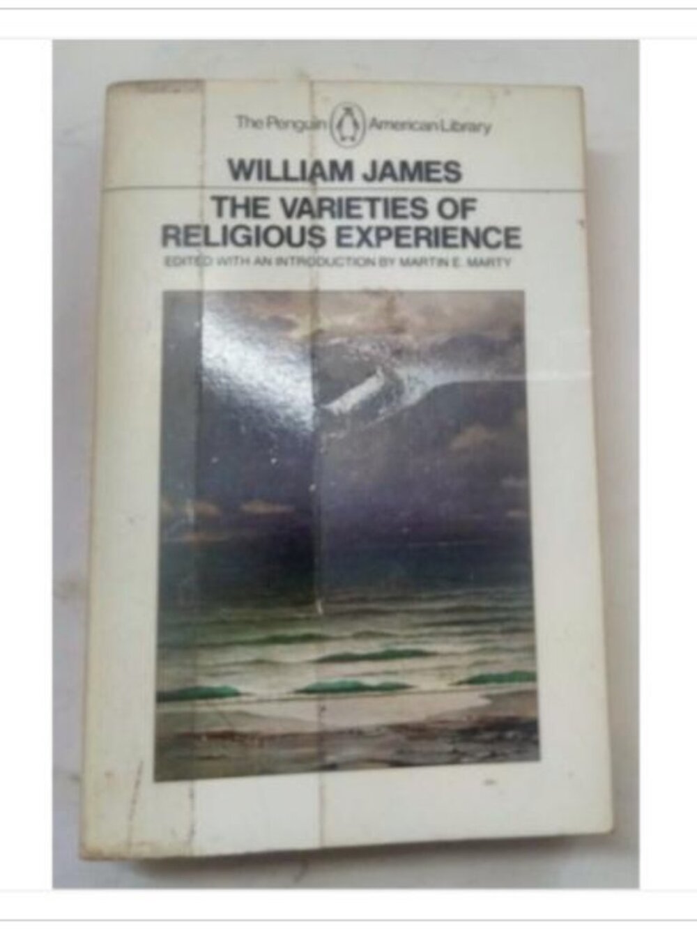 The Varieties of Religious Experience Classic Penguin 1982 PB